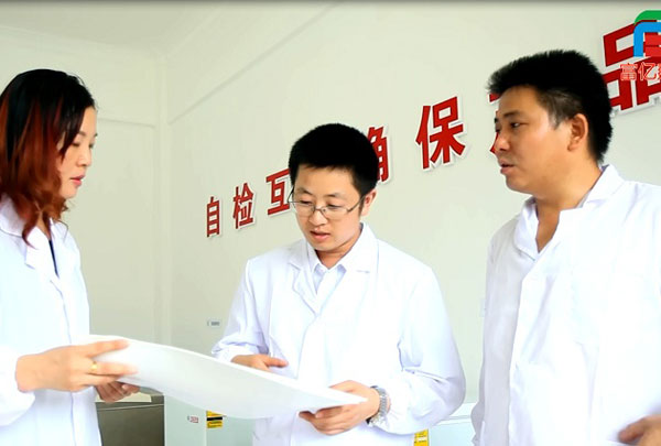 湖北富億建材股份有限公司技術團隊